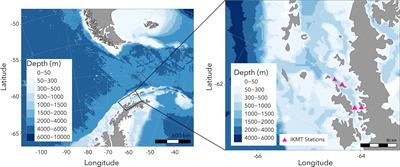 Winter condition, physiology, and growth potential of juvenile Antarctic krill